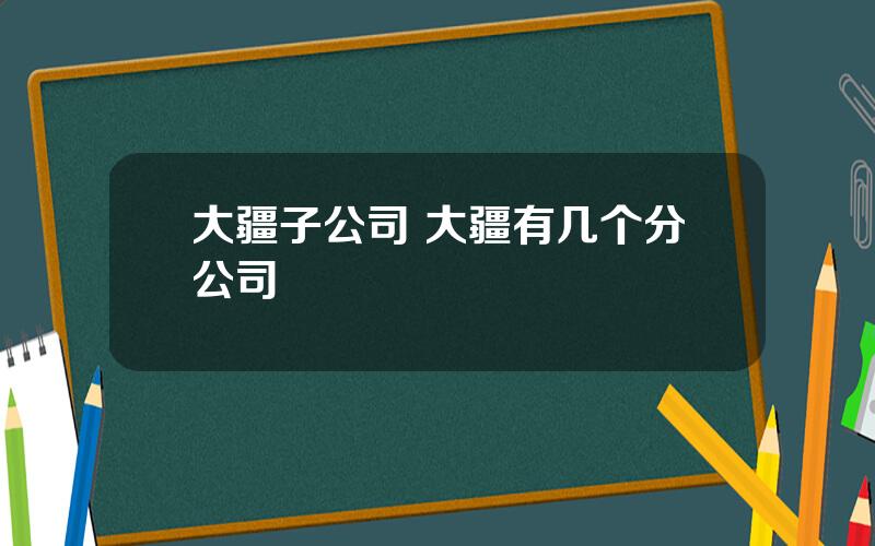 大疆子公司 大疆有几个分公司